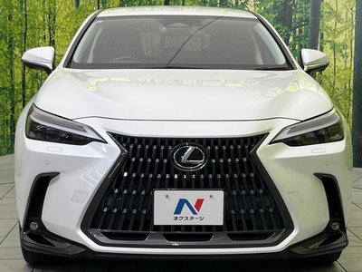 2021 Lexus NX 缩略图 14