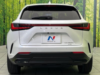 2021 Lexus NX 缩略图 15