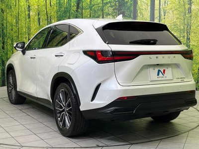 2021 Lexus NX 缩略图 73