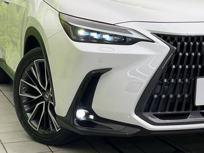 2021 Lexus NX 缩略图 12