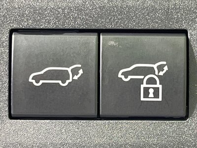 2021 Lexus NX 缩略图 38