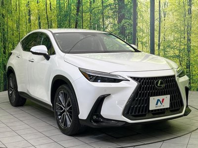 2021 Lexus NX 缩略图 16