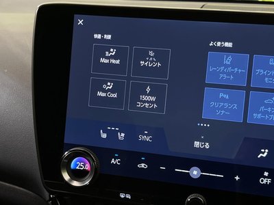 2021 Lexus NX 缩略图 29
