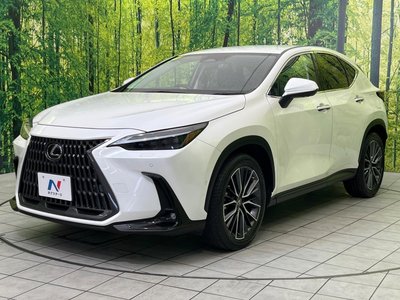 2021 Lexus NX 缩略图 71