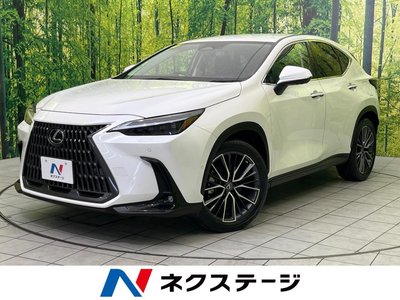 2021 Lexus NX photo 1