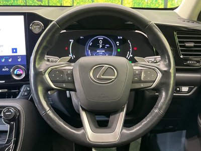 2021 Lexus NX 缩略图 11