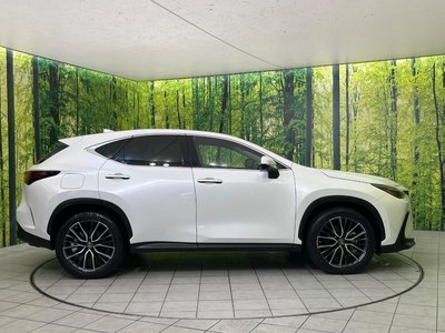 2021 Lexus NX 缩略图 74