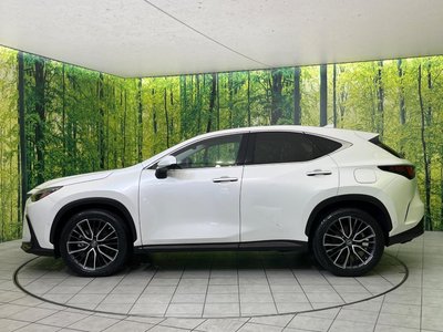 2021 Lexus NX 缩略图 72