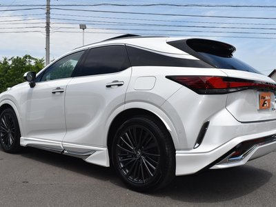 2024 Lexus RX — фото 10