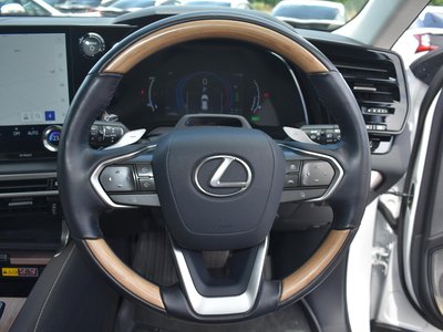 2024 Lexus RX — миниатюра 54