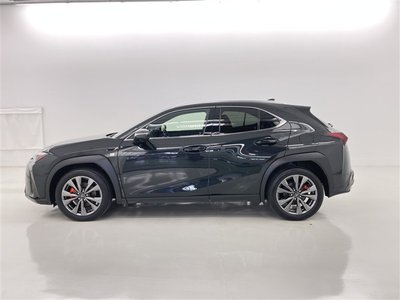 2024 Lexus UX 缩略图 17