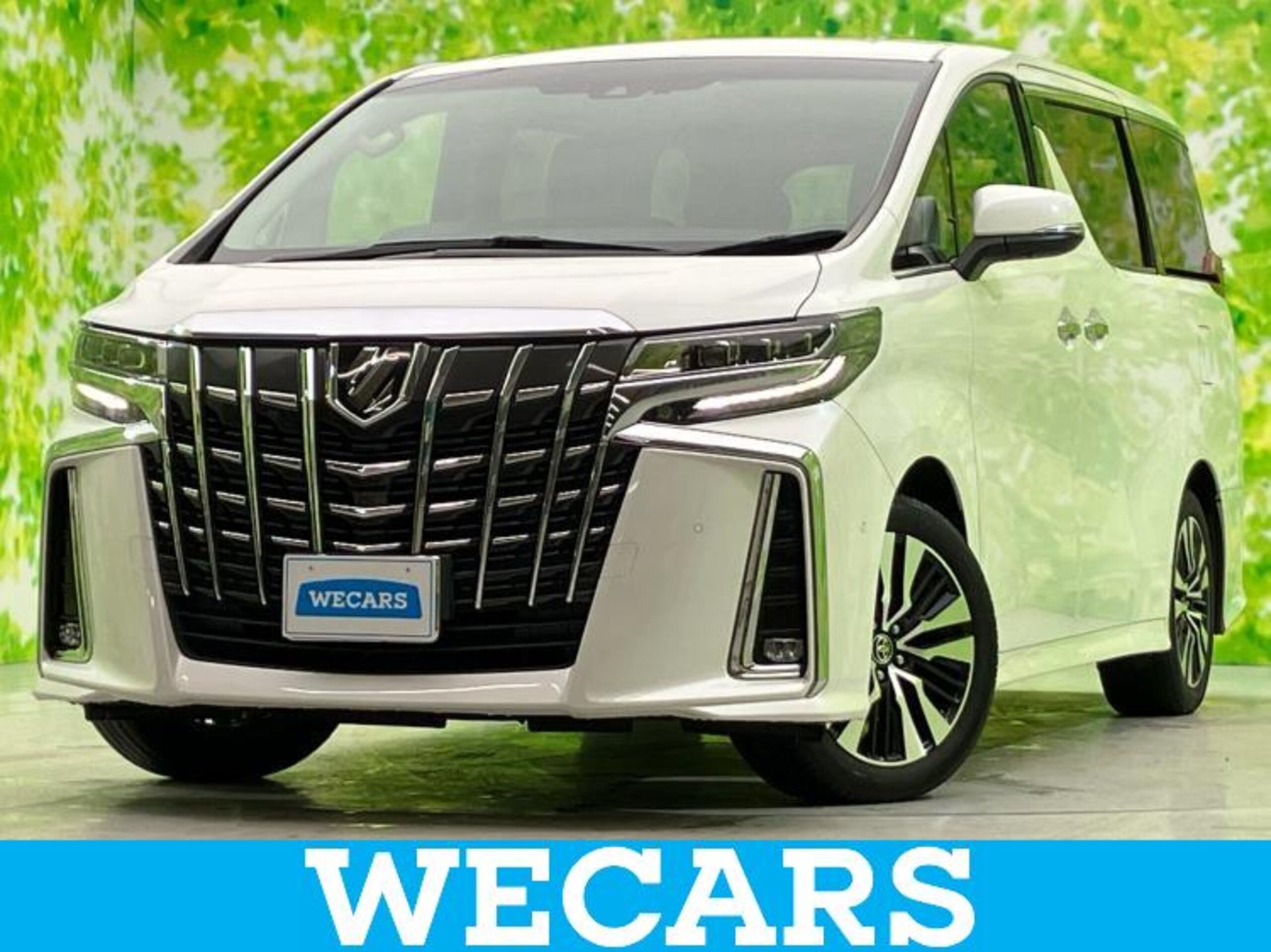 TOYOTA ALPHARD - View 1