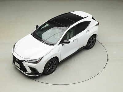 LEXUS NX - 10