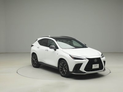 LEXUS NX - 8