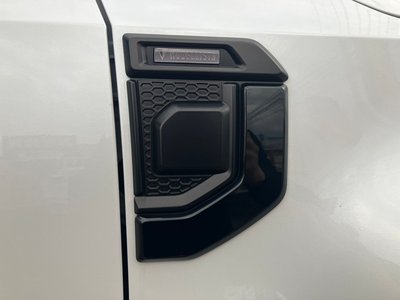 2025 Toyota LAND CRUISER 250 photo 9