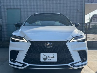 LEXUS RX - 6