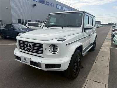 2021 Mercedes-BENZ OTHERS 缩略图 24