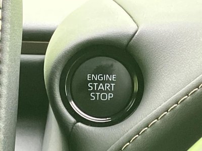صورة مصغرة 33 لـ 2024 TOYOTA ALPHARD