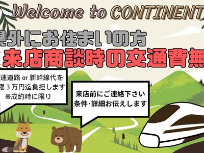 TOYOTA LAND CRUISER - 3