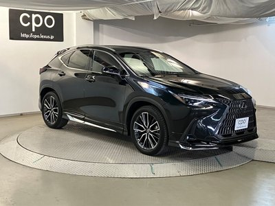 2023 Lexus NX — фото 10