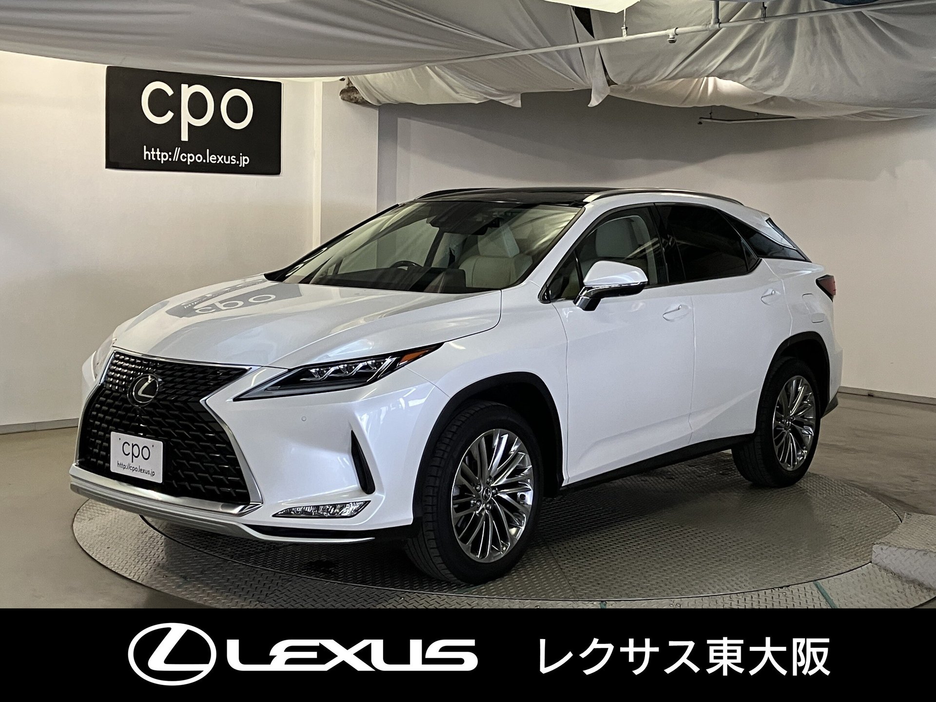 LEXUS RX - View 1
