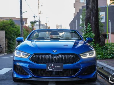 2019 BMW 8 SERIES CABRIOLET — миниатюра 18