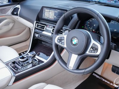 2019 BMW 8 SERIES CABRIOLET — миниатюра 30