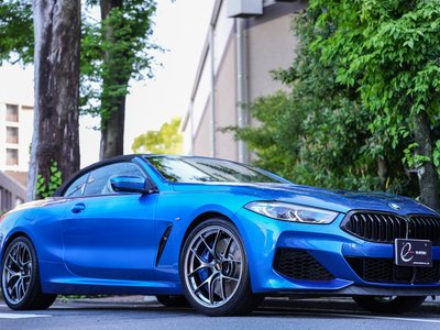 2019 BMW 8 SERIES CABRIOLET photo 51