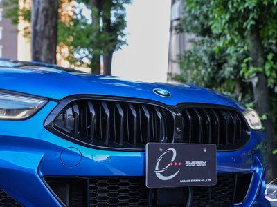 2019 BMW 8 SERIES CABRIOLET — миниатюра 17