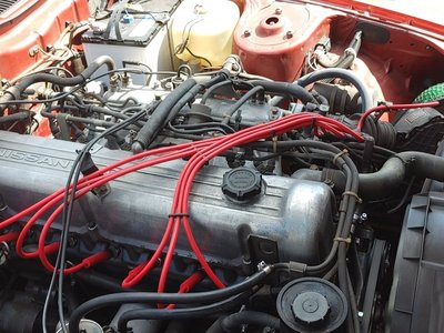 1979 Nissan FAIRLADY Z 照片 9