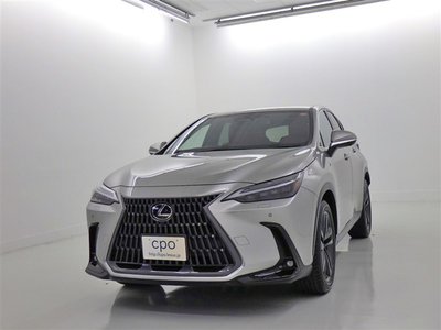 LEXUS NX - 1