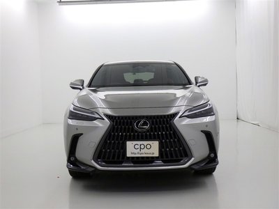 2023 Lexus NX — миниатюра 16