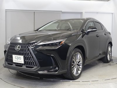 LEXUS NX - 1
