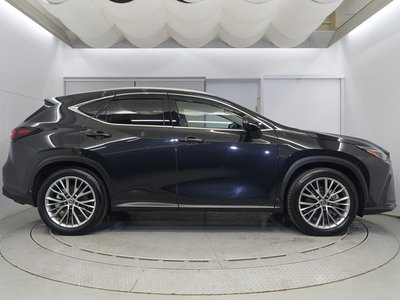 LEXUS NX - 4
