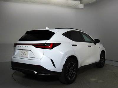 LEXUS NX - 4