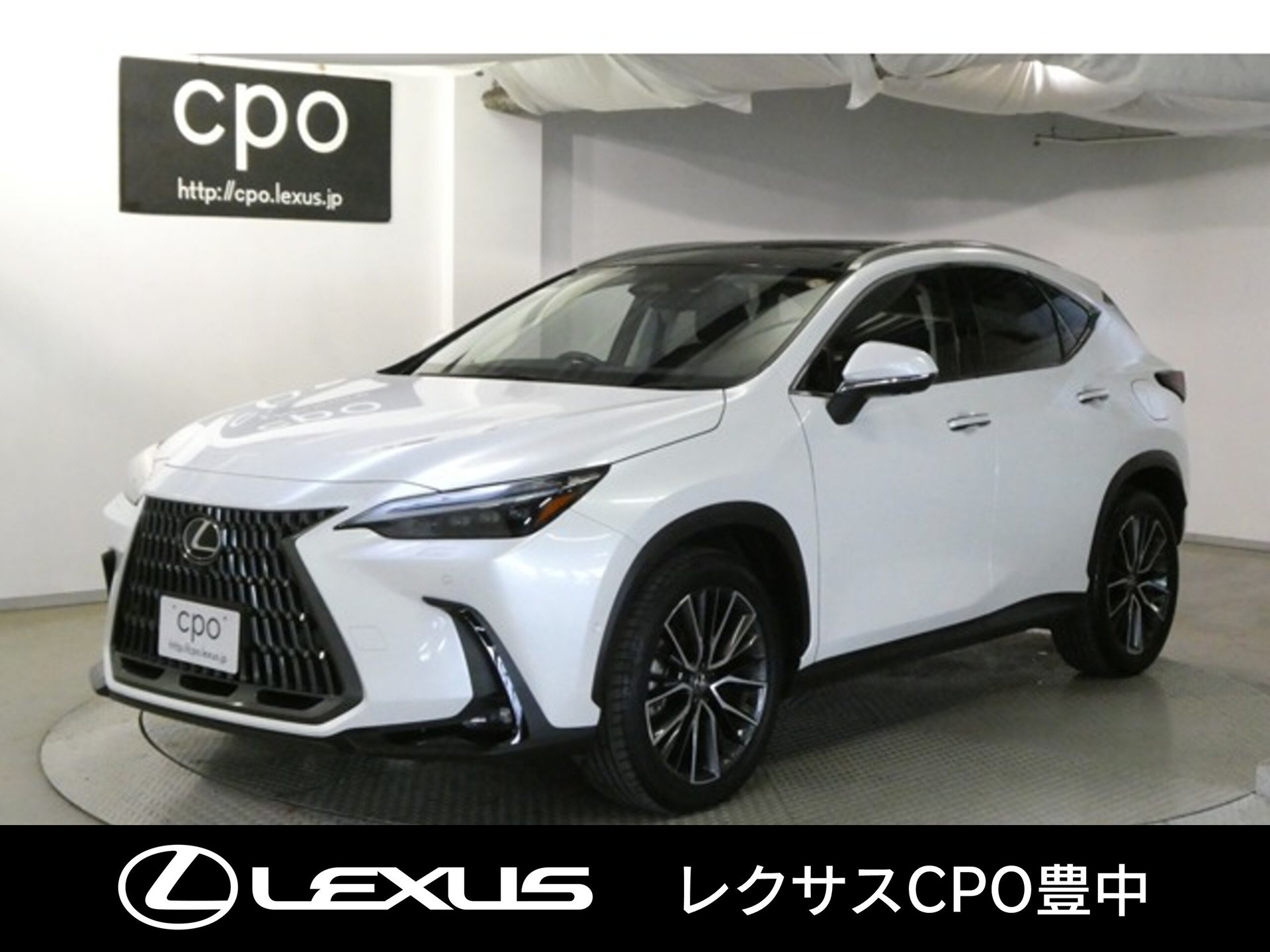 LEXUS NX - View 1
