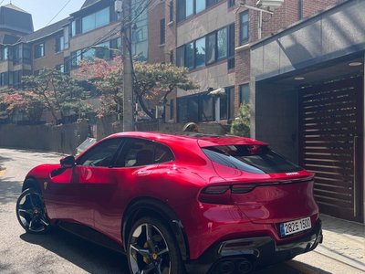 FERRARI PUROSANGUE - 5