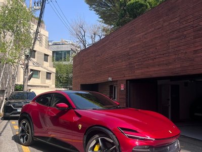 FERRARI PUROSANGUE - 1