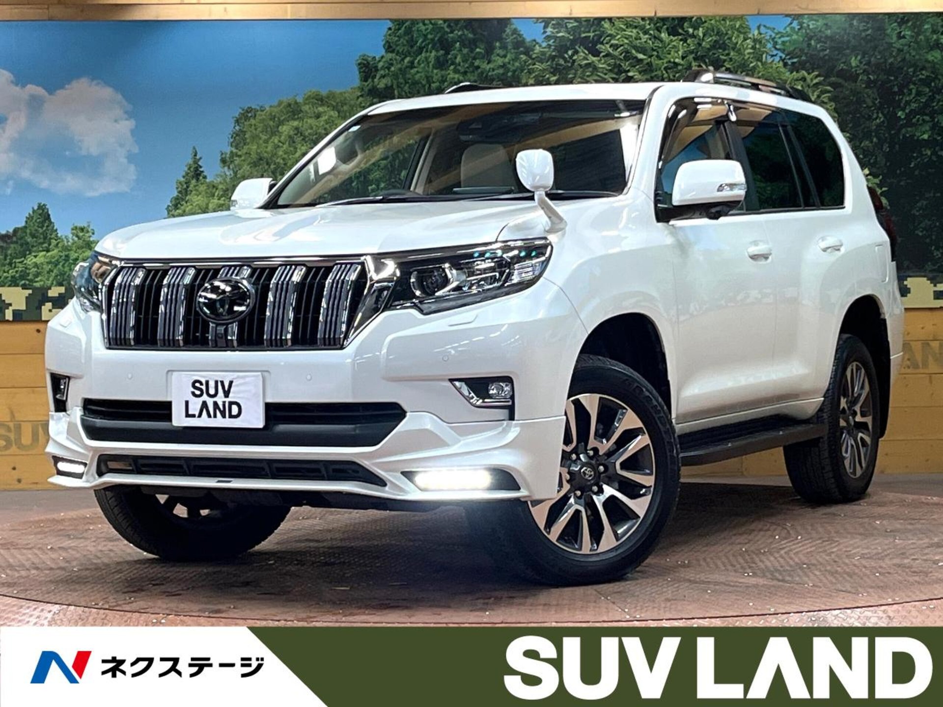 TOYOTA LAND CRUISER PRADO - View 1