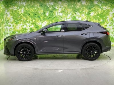 LEXUS NX - 2
