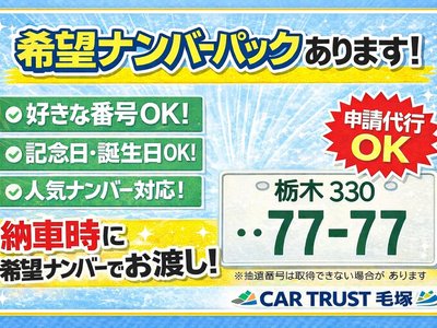 TOYOTA LAND CRUISER 250 - 8