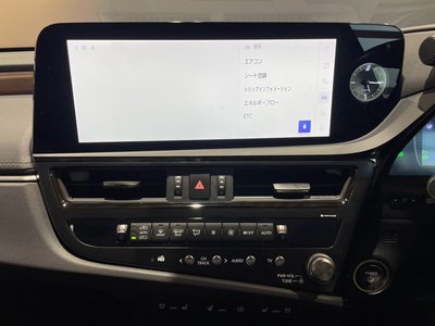 2024 Lexus ES 缩略图 48