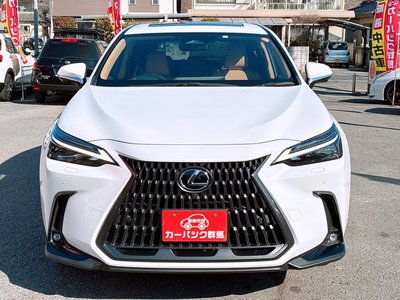 LEXUS NX - 2