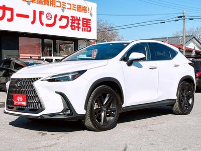 LEXUS NX - 1