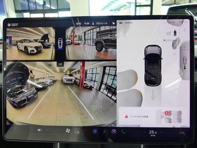 صورة مصغرة 40 لـ 2025 Tesla MODEL Y