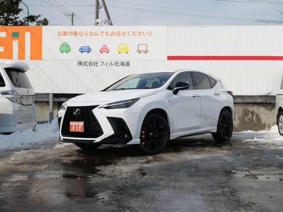LEXUS NX - 1