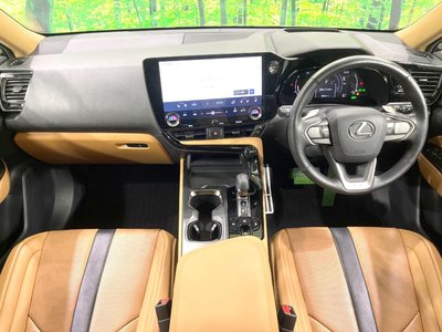 2024 Lexus NX 照片 2