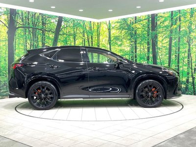2024 Lexus NX — миниатюра 27