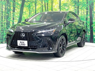 2024 Lexus NX — миниатюра 24