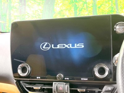2024 Lexus NX 照片 4